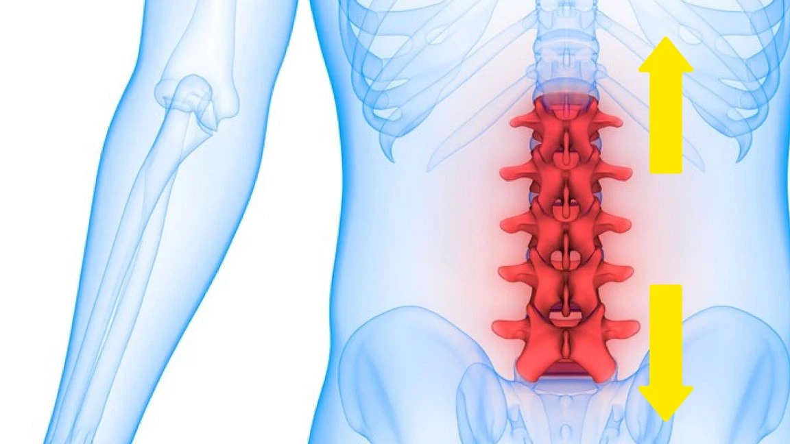 lumbar spine picture