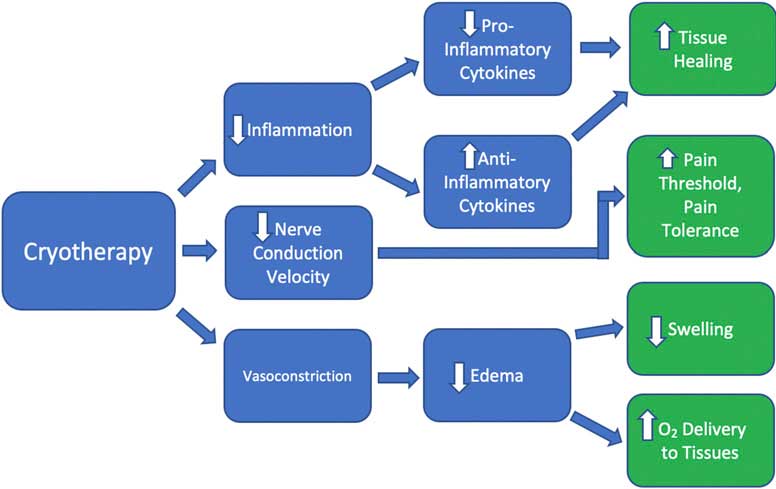 box diagram of the benefits of cryotherapy