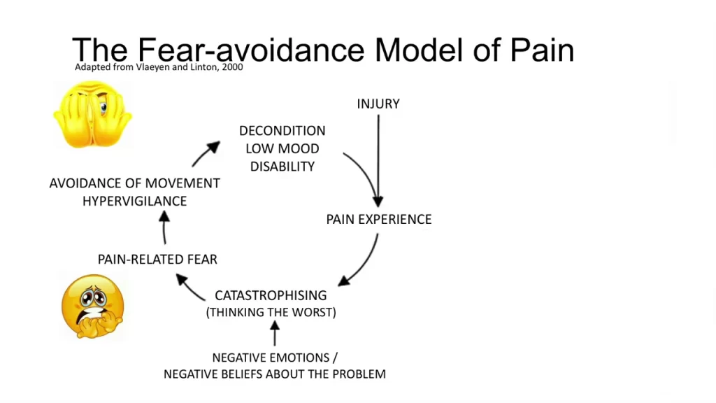 model showing the cycle of chronic low back pain and catastrophizing